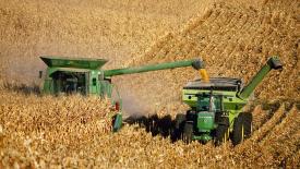 «СовЭкон» увеличил прогноз по сбору пшеницы более чем на 2 млн т